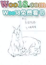 兽人的任务安卓版攻略