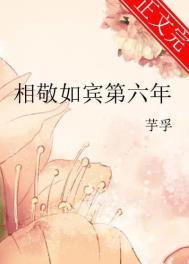 相敬如宾第六年TXT百度