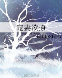 宠妻欲撩宝书网