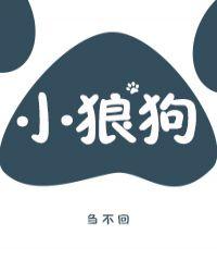 小狼狗饲养守则