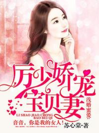 厉少专宠宝贝妻