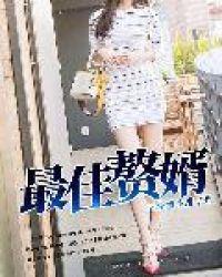 最佳赘婿电视剧