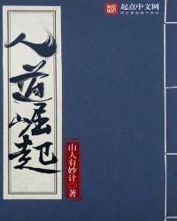 人道崛起境界划分
