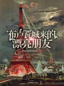 布卢瓦城来的漂亮朋友结局