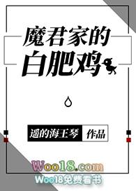 魔君家的白肥鸡作者遥的海王琴