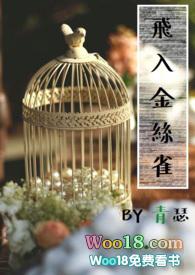 飞入金丝雀 青瑟 全文阅读