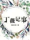 丁薇记事无弹窗免费