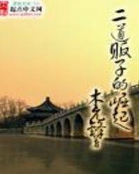 二道贩子的崛起txt
