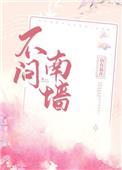 不问南墙txt