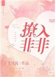 撩入非非免费阅读无防盗