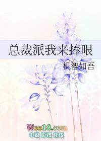 总裁派我来捧哏什么意思