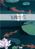 飞鸿雪爪好看吗