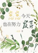 崽崽今天开播了吗
