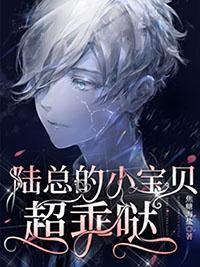 陆总的小宝贝软又甜