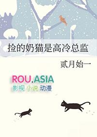 捡的奶猫是高冷总监贰月始一