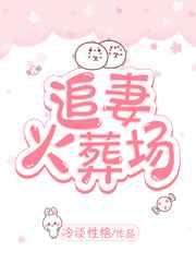 司少追妻火葬场完结版