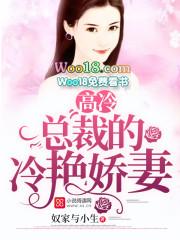 高冷总裁的独宠娇妻电视剧