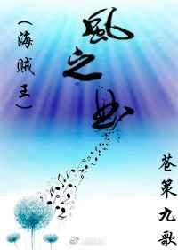 海贼之风能力