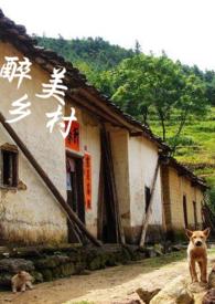 醉美乡村下联