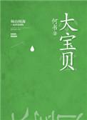 大宝贝何书