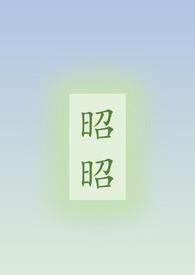 昭昭如愿