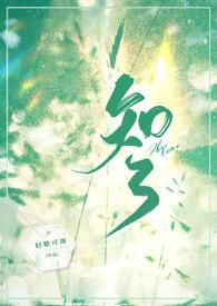 青梅知不知连载
