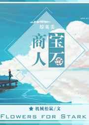 宝石商人资源