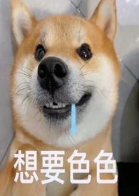 当她的狗（）